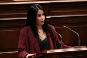La presidenta del Grupo Parlamentario ASG, Melodie Mendoza, durante el pleno del Parlamento de Canarias