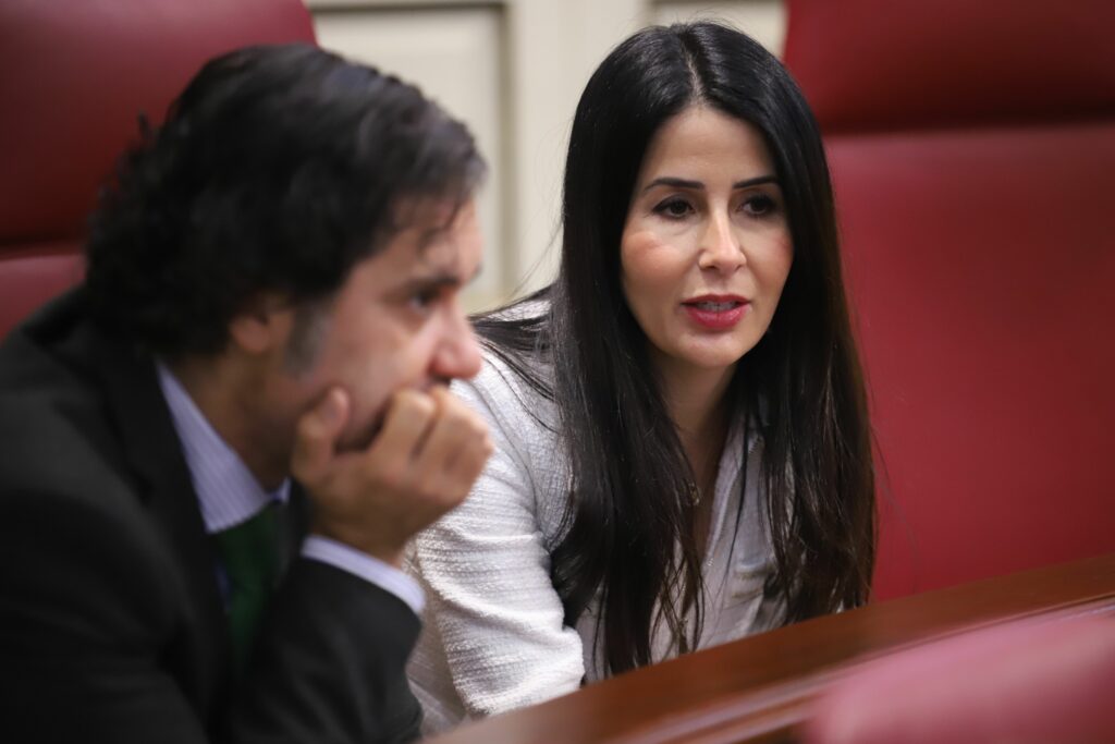 La presidenta del Grupo Parlamentario ASG, Melodie Mendoza, junto al portavoz adjunto, Jesús Ramos