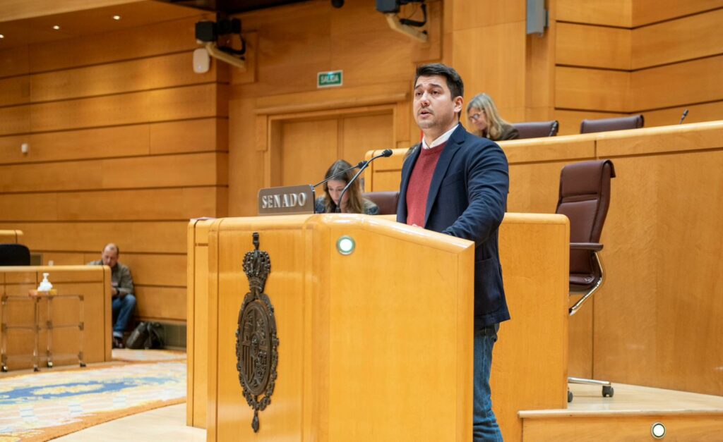 El senador gomero, Fabián Chinea, en una reciente intervención en la Cámara Alta