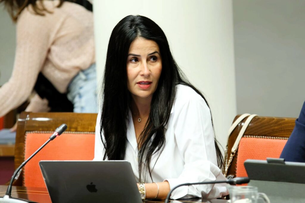 Melodie Mendoza, presidenta del Grupo Parlamentario ASG, durante una comisión en la Cámara autonómica