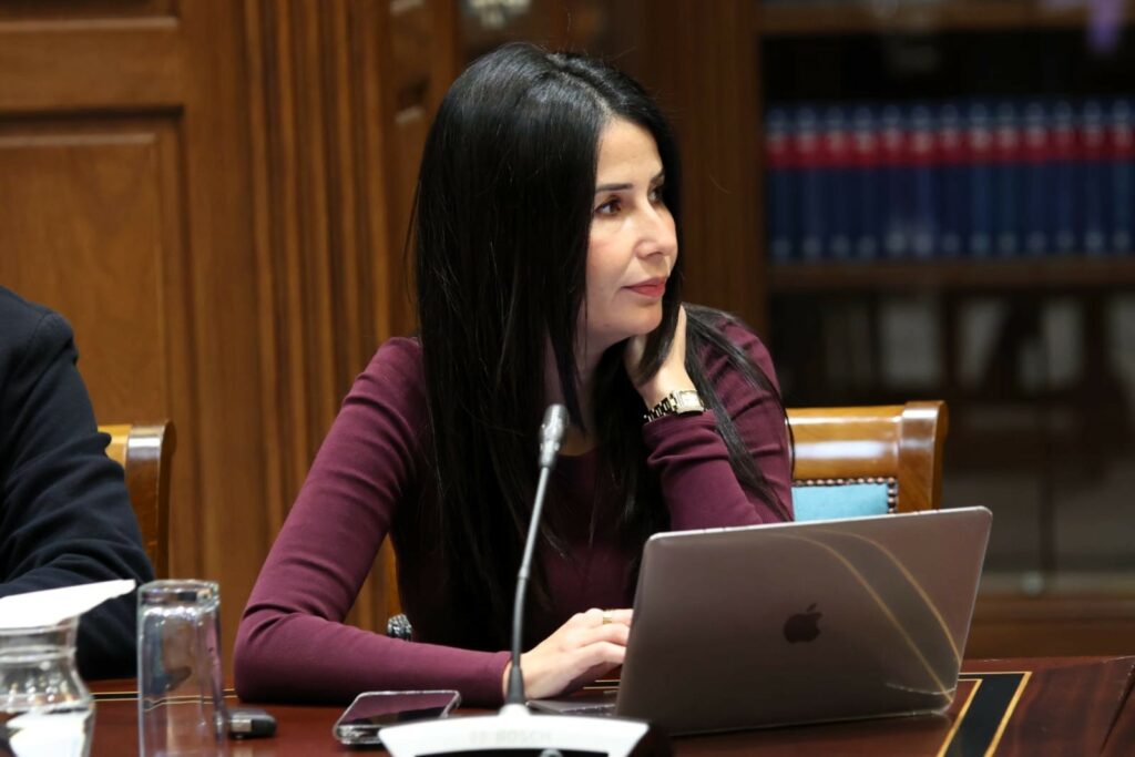 Melodie Mendoza, presidenta del Grupo Parlamentario ASG, durante el desarrollo de una comisión parlamentaria