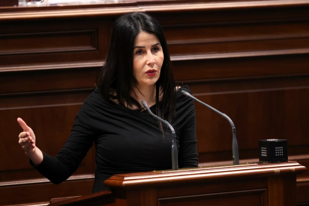 Melodie Mendoza, presidenta del Grupo Parlamentario de ASG, interviene en el Salón de Plenos de la Cámara autonómica