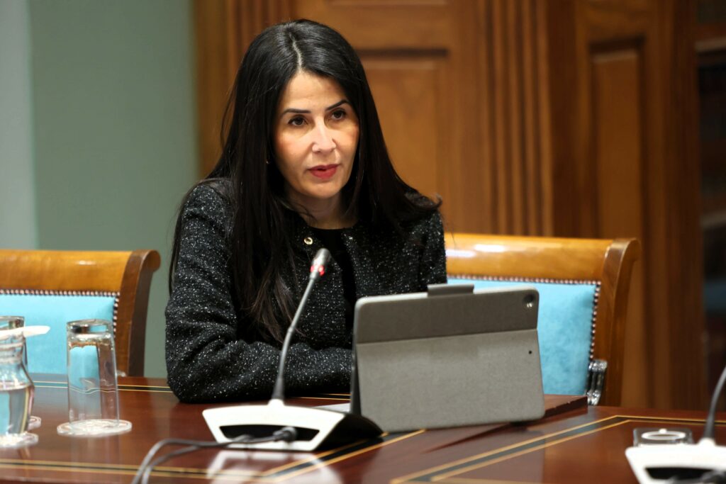 Melodie Mendoza, presidenta del Grupo Parlamentario ASG, durante una comparecencia en la Cámara autonómica