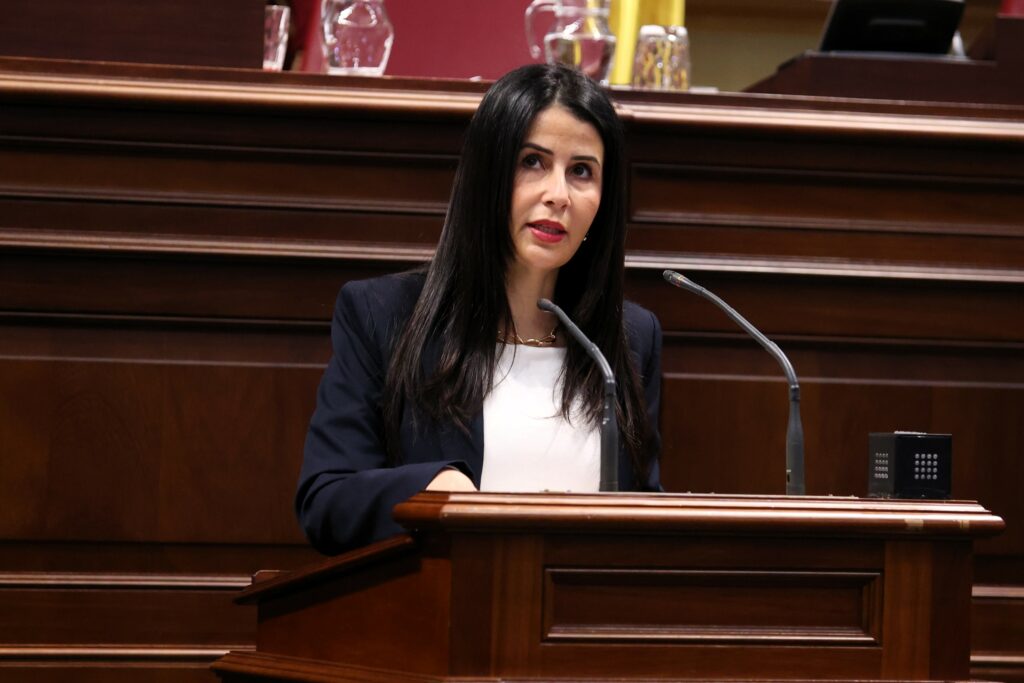 Melodie Mendoza, presidenta del Grupo Parlamentario Agrupación Socialista Gomera