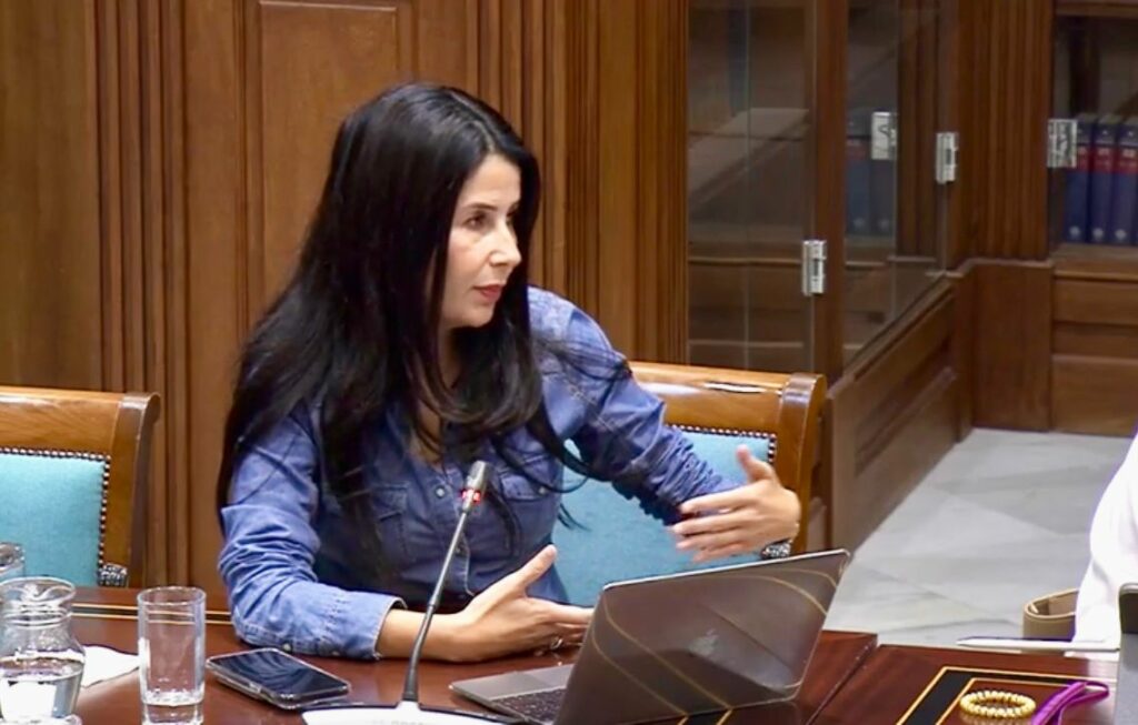 Melodie Mendoza, presidenta del Grupo Parlamentario Agrupación Socialista Gomera