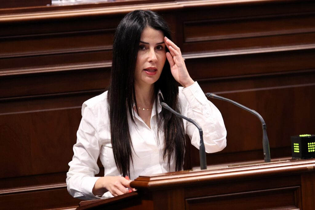 Melodie Mendoza, presidenta del Grupo Parlamentario Agrupación Socialista Gomera