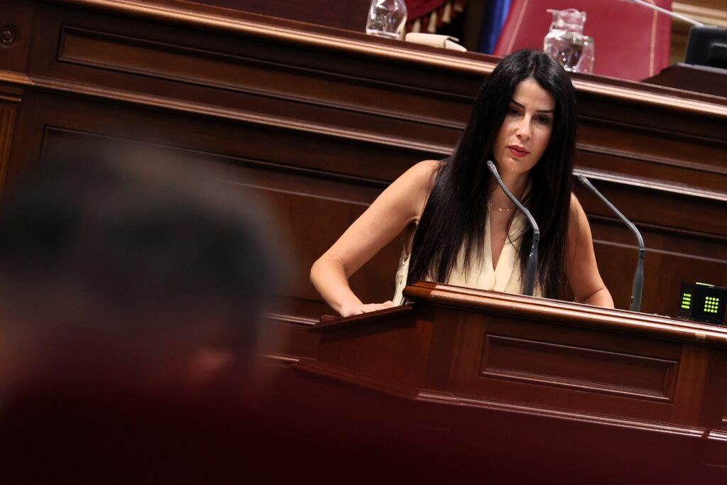 Melodie Mendoza, presidenta del Grupo Parlamentario Agrupación Socialista Gomera (ASG), interviniendo en la Cámara autonómica