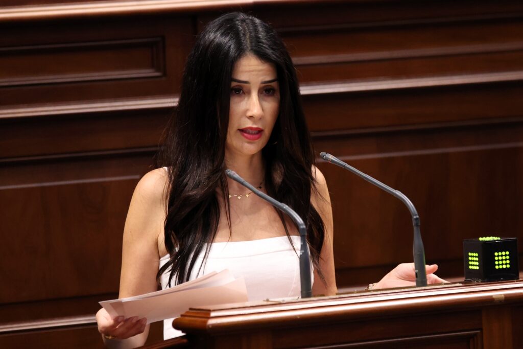Melodie Mendoza, presidenta del Grupo Parlamentario Agrupación Socialista Gomera, interviene en la Cámara autonómica