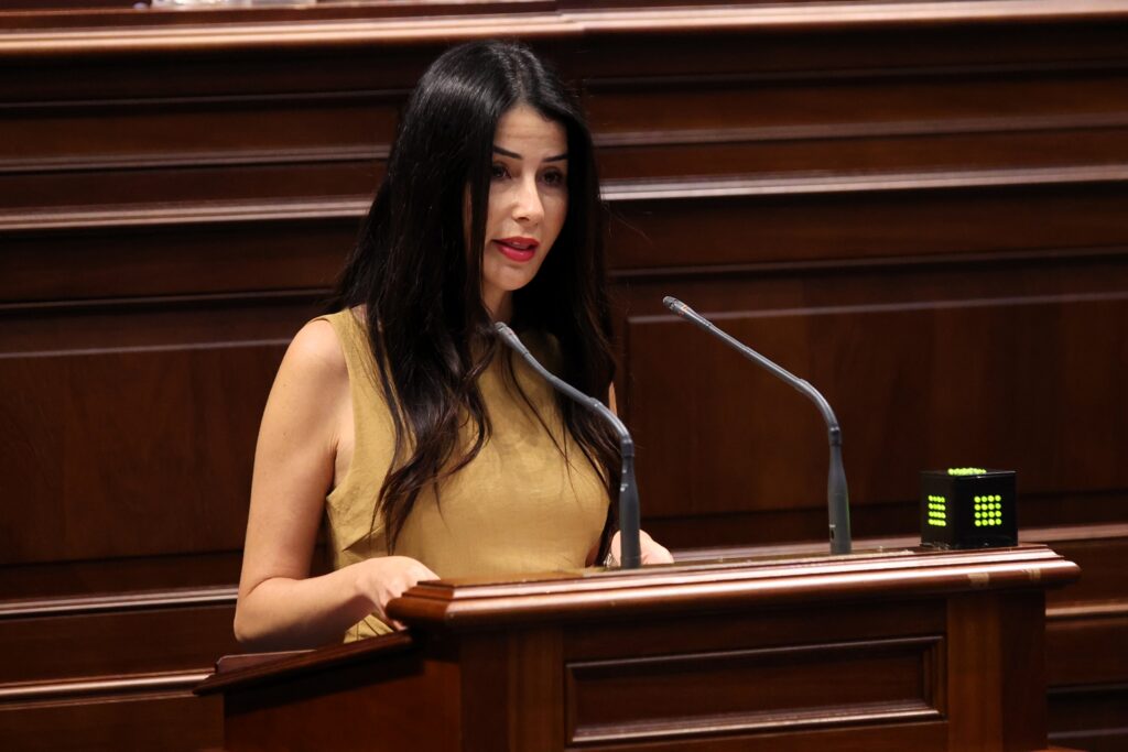 Melodie Mendoza, presidenta del Grupo Parlamentario Agrupación Socialista Gomera, durante la sesión plenaria de la Cámara autonómica