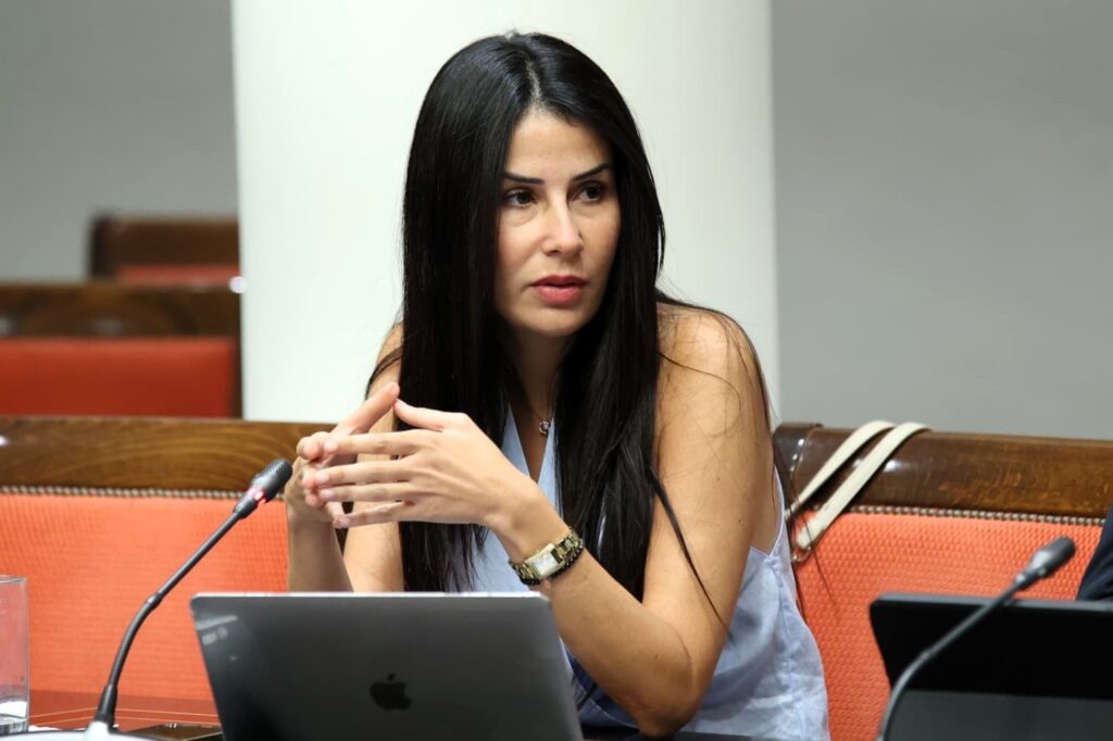 Melodie Mendoza, presidenta del Grupo Parlamentario Agrupación Socialista Gomera (ASG), interviene en la Cámara autonómica.