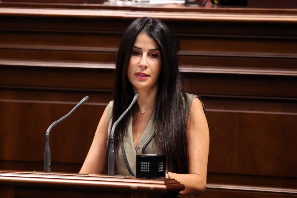 Melodie Mendoza, presidenta del Grupo Parlamentario Agrupación Socialista Gomera (ASG), interviene en el Salón de Plenos de la Cámara autonómica.