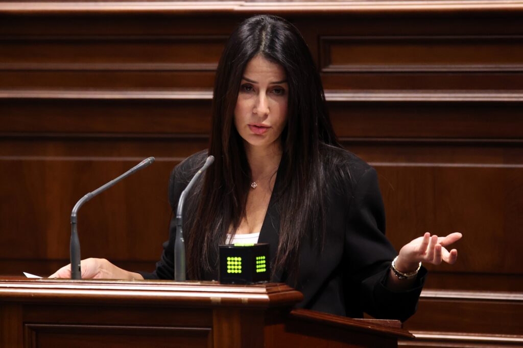 Melodie Mendoza, presidenta del Grupo Parlamentario Agrupación Socialista Gomera (ASG).