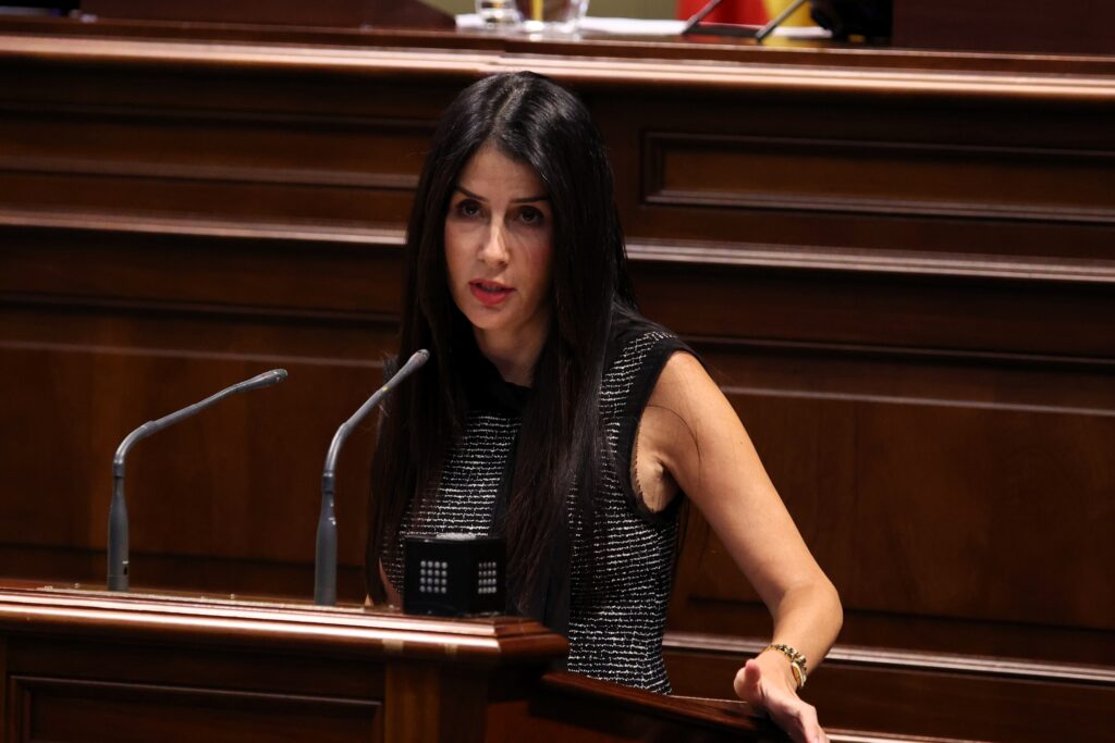 Melodie Mendoza, presidenta del Grupo Parlamentario Agrupación Socialista Gomera (ASG) interviene en la sesión plenaria de la Cámara autonómica.
