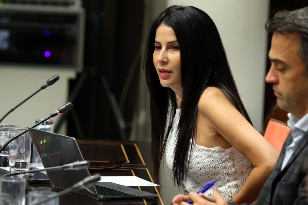 La presidenta del Grupo Parlamentario Agrupación Socialista Gomera (ASG), Melodie Mendoza, interviene en la comisión.